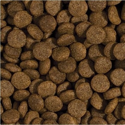 Tropidog Super Premium Adult Medium & Large Breed Kurczak I Łosoś 15kg